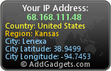 IP Address Widget